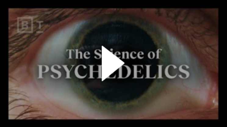 How psychedelics work, explained in under 6 minutes | Matthew Johnson