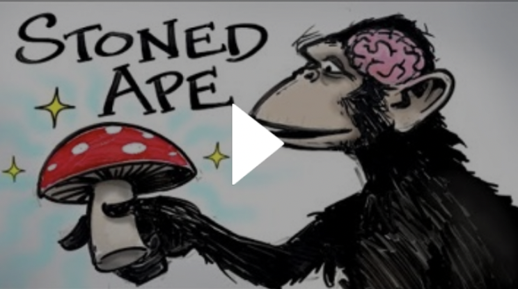 Stoned Ape & Fungal Intelligence - Paul Stamets