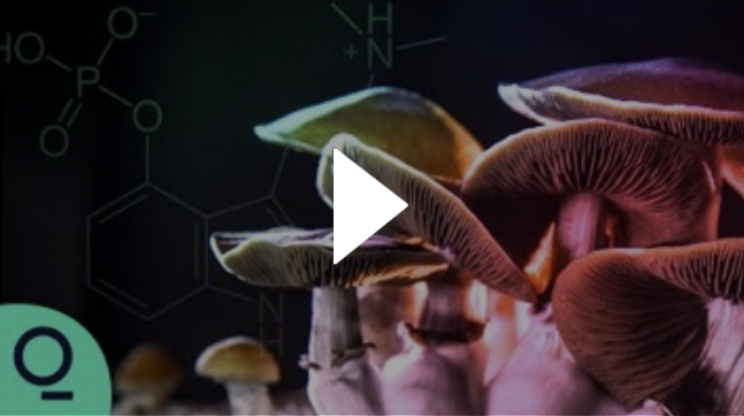 Psychedelics Are Fueling a Mental Health Revolution