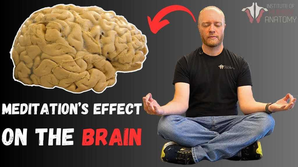 Science of Meditation: Brain Waves 101