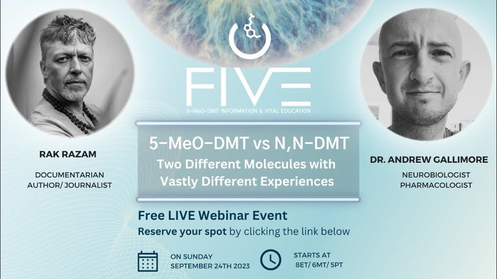 5-MeO-DMT vs. N, N-DMT: Two Different Molecules, Vastly Different Experiences